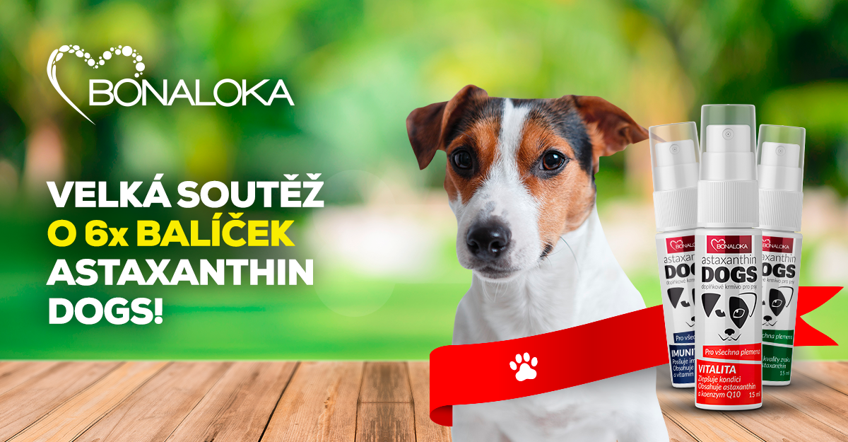 Astaxanthin DOGS doplňková krmiva pro psy