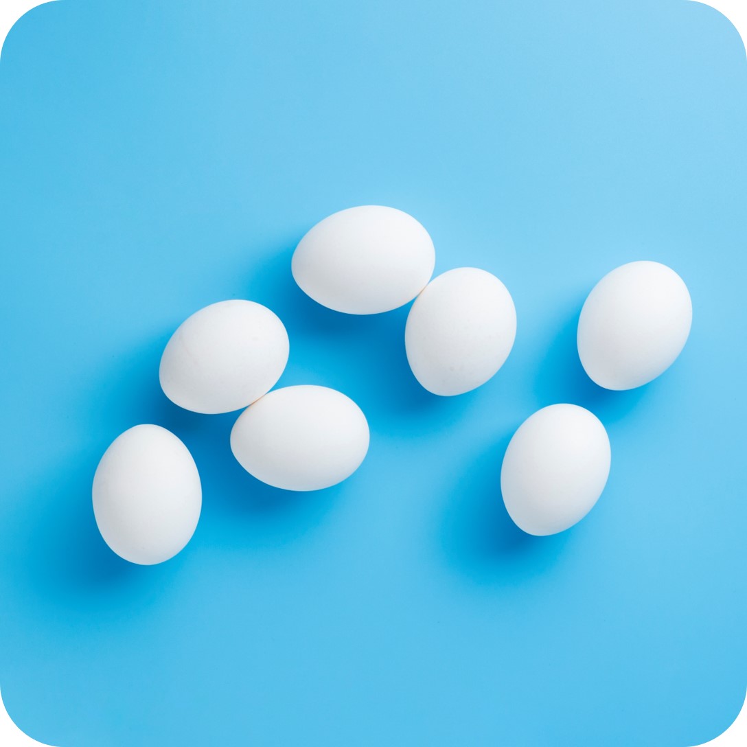 Egg White Protein
