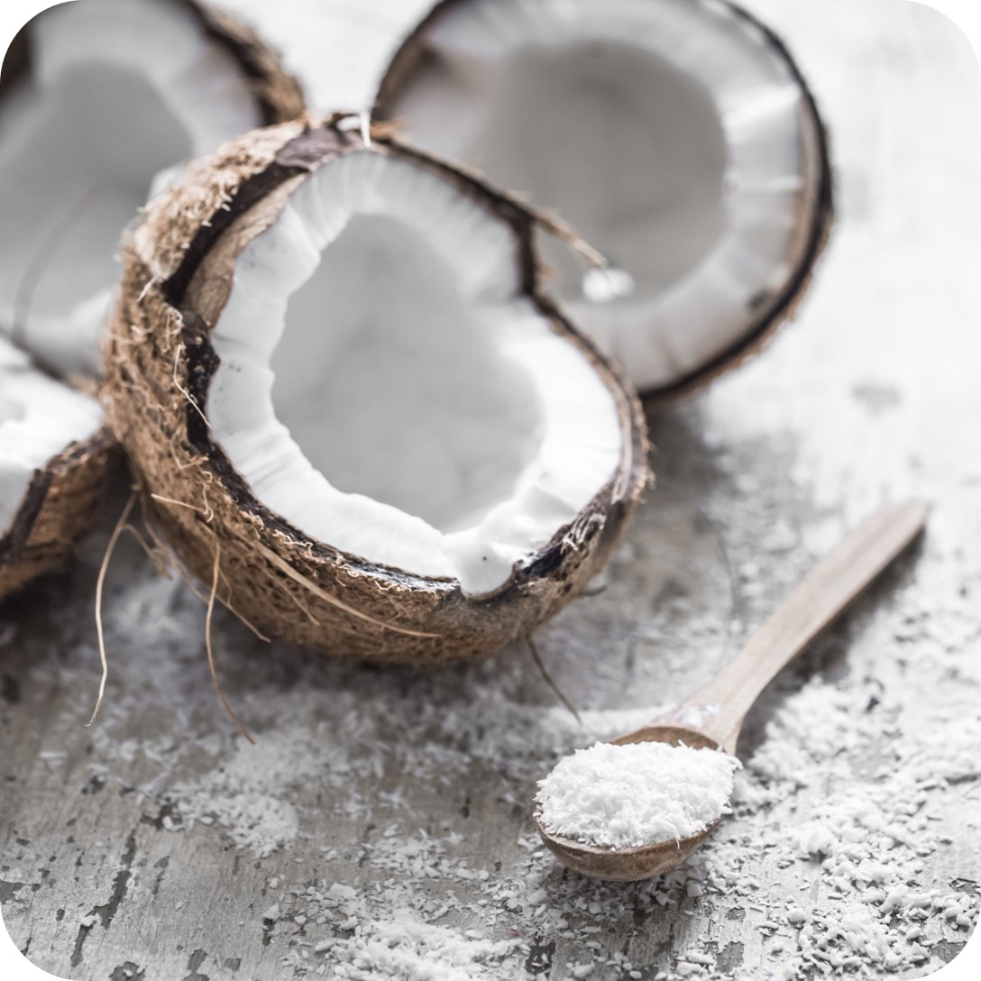 Coconut