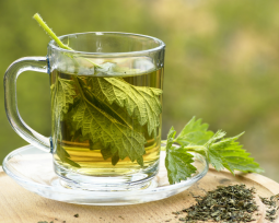 Kopřivová kúra: ideální jarní detox