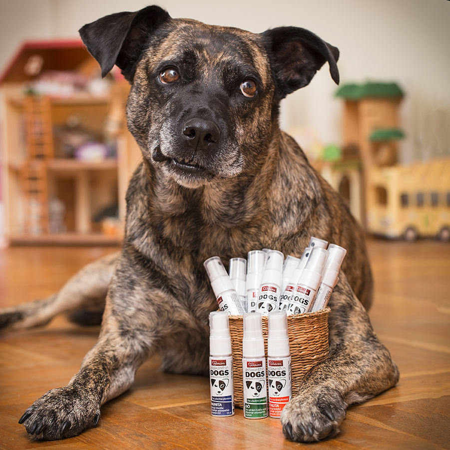 Astaxanthin for dogs sale