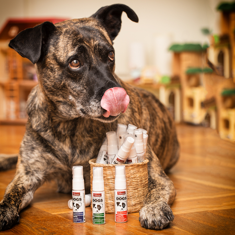 Astaxanthin Dogs Vitalita